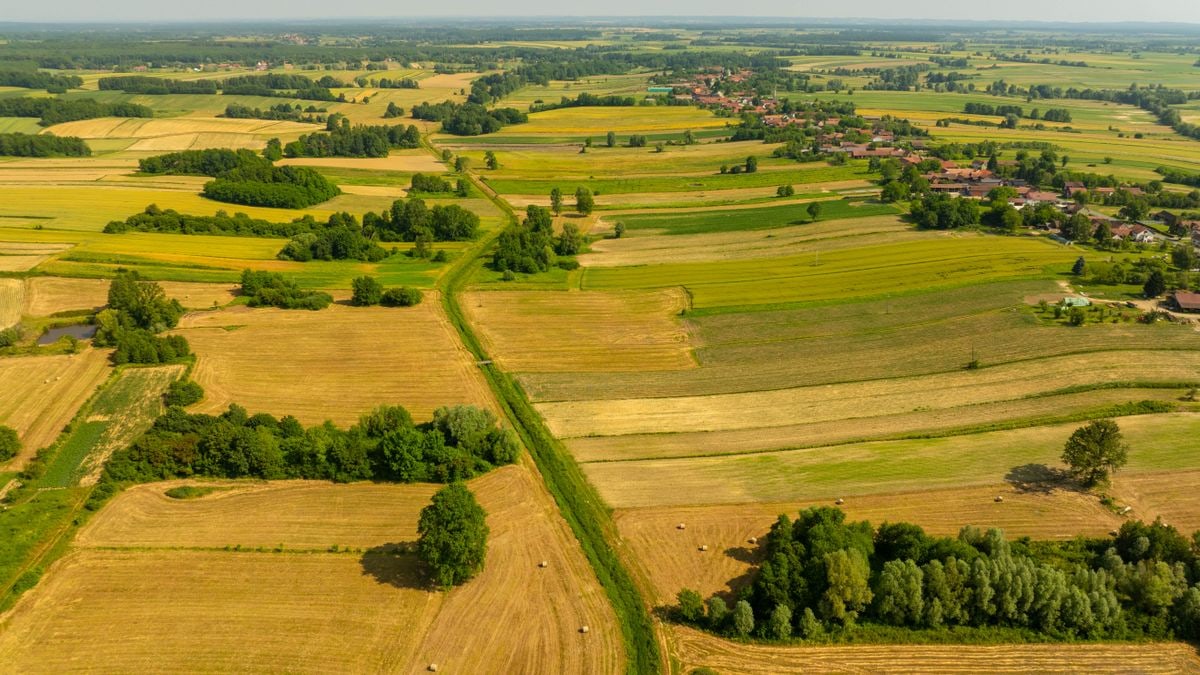 Aerial view of lush farmland and vibrant landscape in Velika Trnovitica, Croatia.